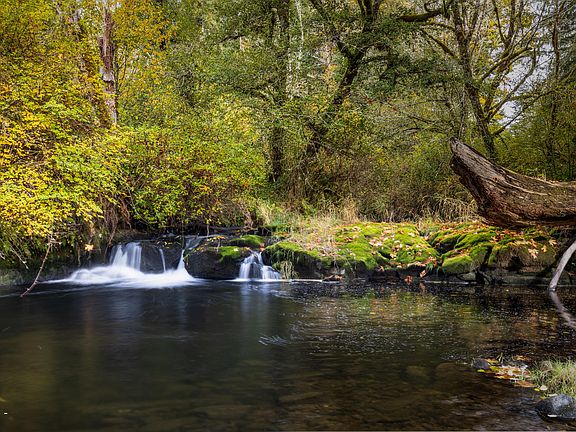 5th image of 563 Moonshine Park Rd