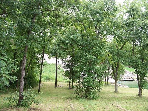 5th image of 1899 Timber Valley Dr