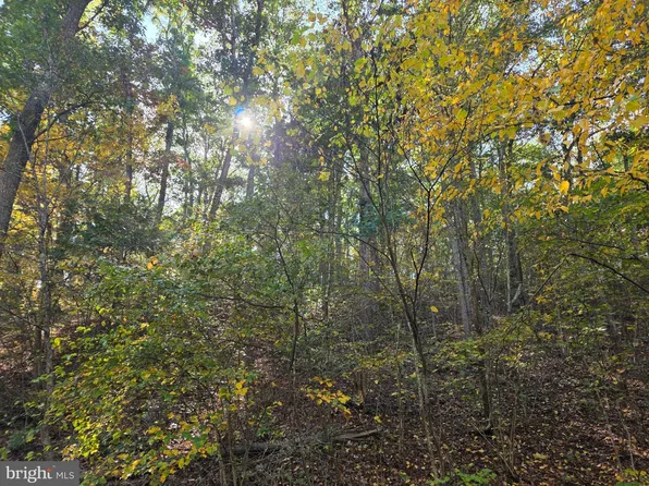 Parsons Rd, Hedgesville, WV 25427