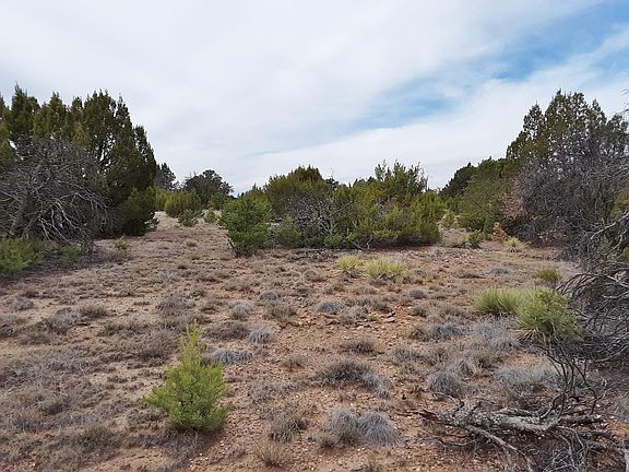 2nd image of 13245 Rubia Ct