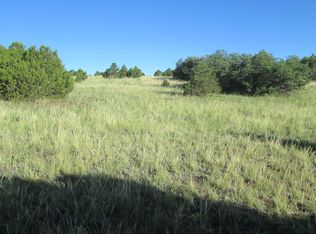 LOT 85 Navajo Ranch Resorts 3 LOT 85, Walsenburg, CO 81089