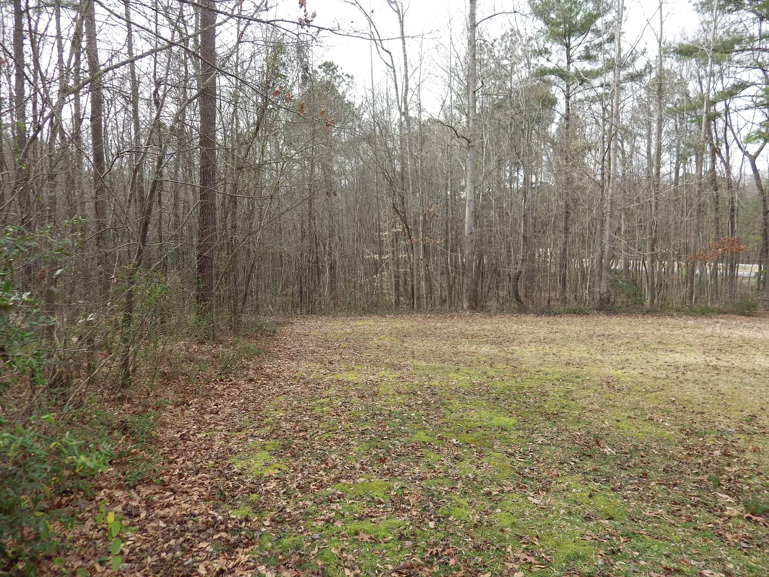 3 bed, 2046 sqft, $1,700 — Photo 2