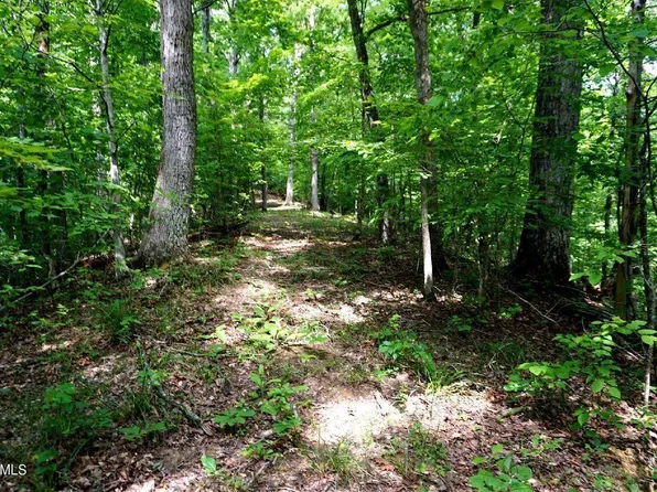 732 Mossy Hollow Rd Lot 732, White Pine, TN 37890
