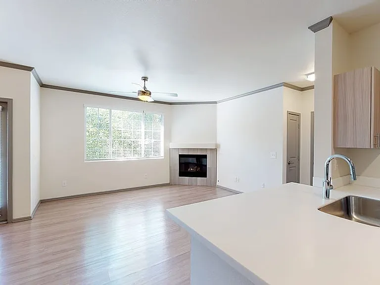 Apartment kitchen with stainless steel appliances, dining and living room with wood-style flooring.