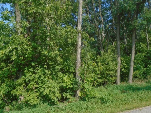 Roosevelt St, Mauston, WI 53948