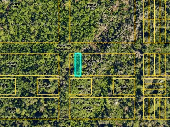 TONITA ROAD LOT 2, MYAKKA CITY, FL 34251