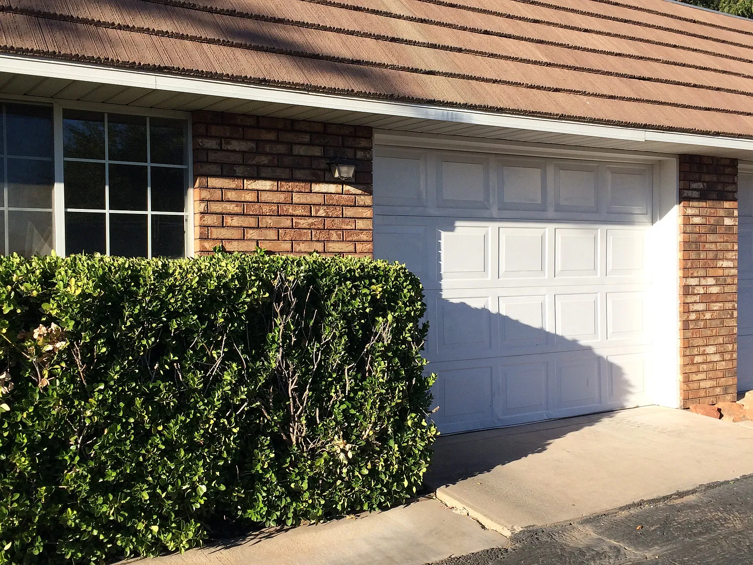 2 bed, 1245 sqft, $1,500 — Photo 3