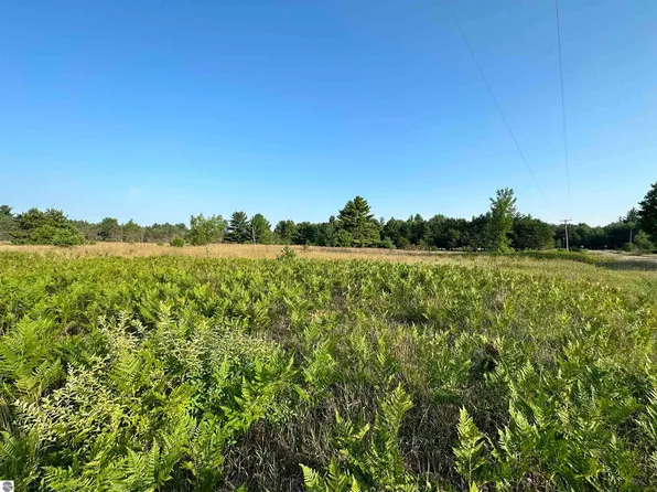 5885 N 15th Rd, Mesick, MI 49668