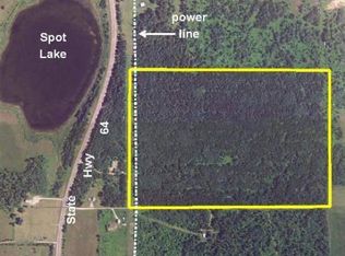 Tbd State Highway 64 McKinley Twp, Backus, MN 56435