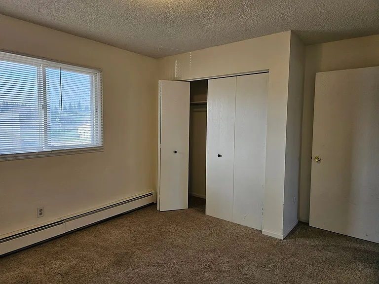 503 Shoshoni St — Photo 3
