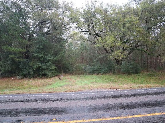 4th image of 9242 Fm 943 Rd