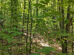 Scott Rd, Wolverine, MI 49799