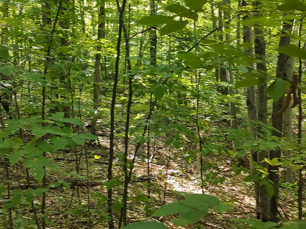 Scott Rd, Wolverine, MI 49799