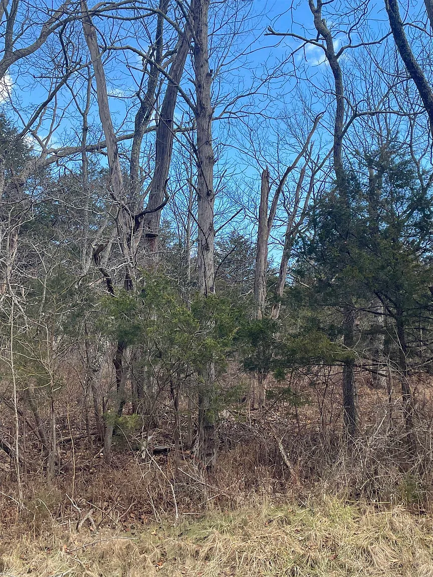 Walker Creek Rd photo 1