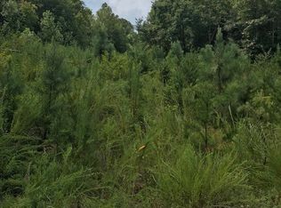 0 W T Wilkins Rd, Rutherfordton, NC 28139