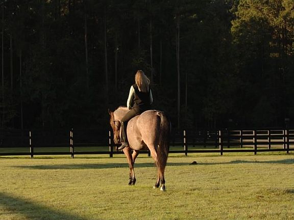 4th image of 18 Rose Dhu Creek Plantation Dr