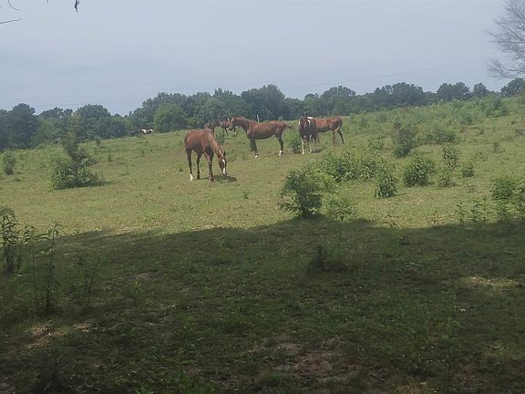 4th image of 0 County Road 48