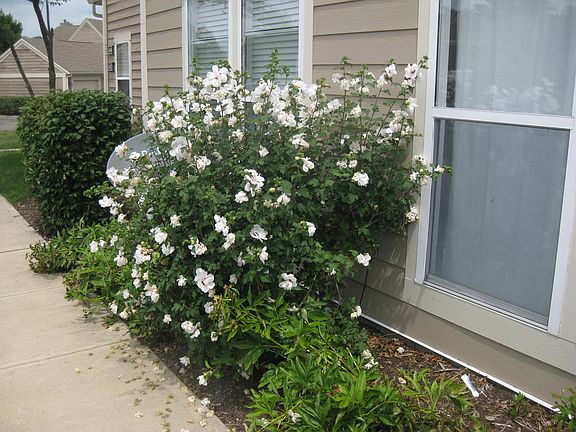 5th image of 3400 Fishinger Mill Dr