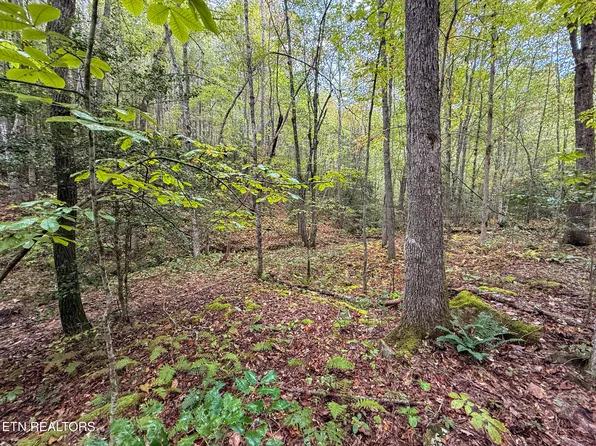 LOT 26 Airport Rd, Rockwood, TN 37854