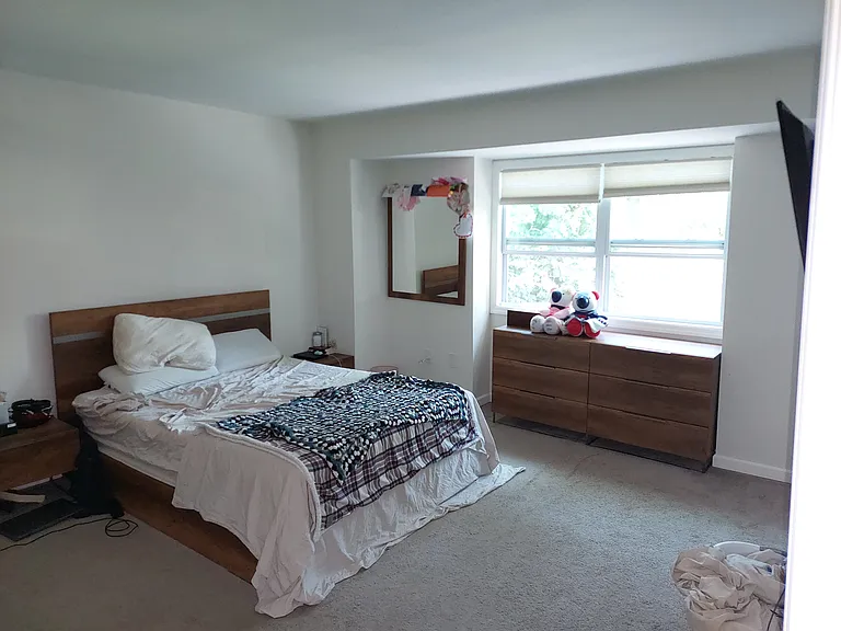 451 Barton Run Blvd — Photo 9