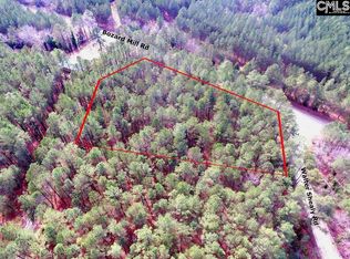 2609 Walter Shealy Rd, Leesville, SC 29070