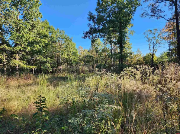 1071 Pleasant Run Rd, Mammoth Spring, AR 72554