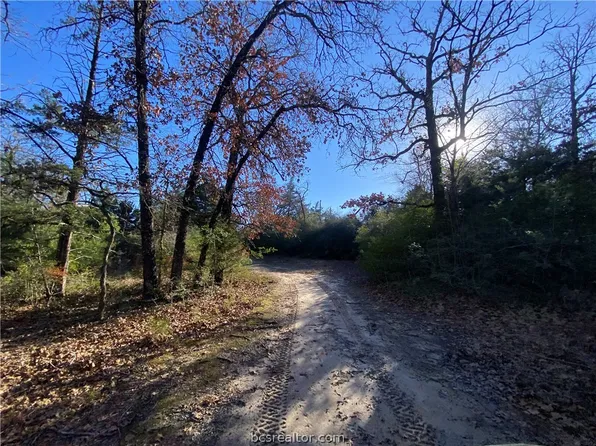 6815 Private Road 3175, Buffalo, TX 75831