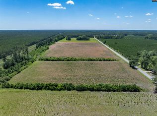 0 Williams Hill Rd #1, Hemingway, SC 29554