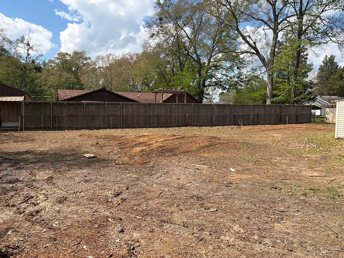 Backyard - 316 Jones Rd