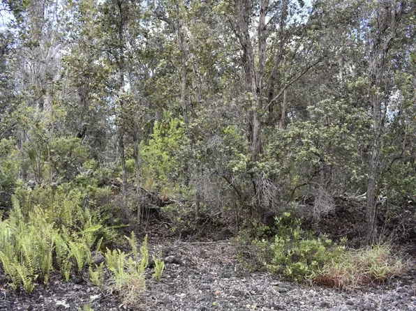 Palm Pkwy Lot 4, Ocean View, HI 96737