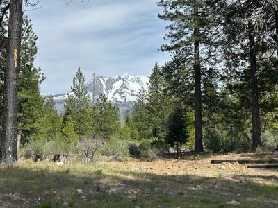 2324 Black Butte Dr, Weed, CA, 96094