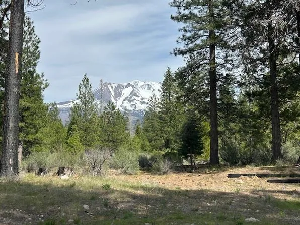 2324 Black Butte Dr, Weed, CA 96094