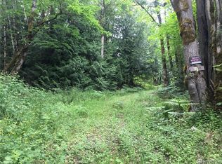12300 Center Rd, Quilcene, WA 98376