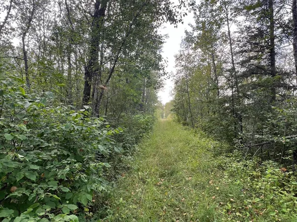 Us Highway 53 Hwy, International Falls, MN 56649