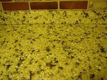 Countertops