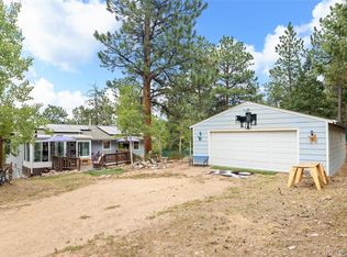 41 Yew Lane, Bailey, CO 80421