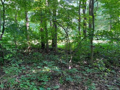 6505 Dexter St, Romulus, MI, 48174