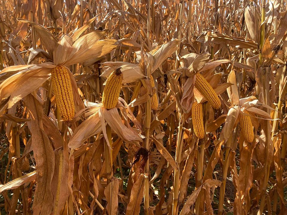 1st image of 0 Lone Tree Rd