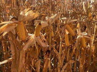 0 Lone Tree Rd, Central City, NE 68826