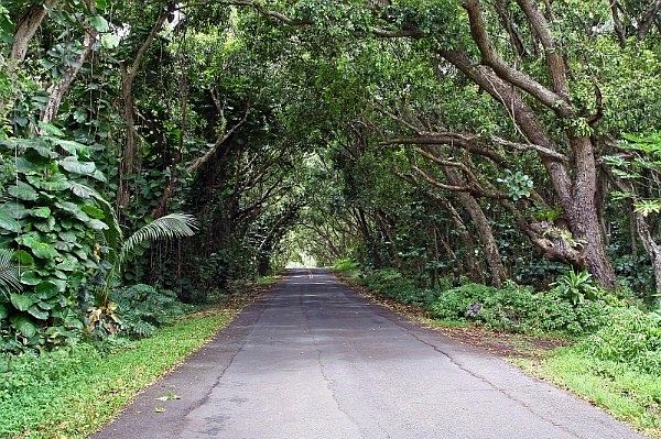2nd image of Kamaili Rd Lot 1