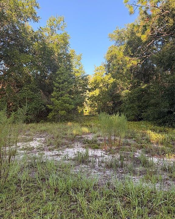 1st image of 115 ORANGE TREE COURT LOT 4