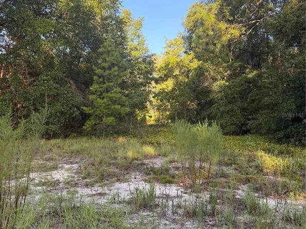 115 ORANGE TREE COURT LOT 4, MELROSE, FL 32666