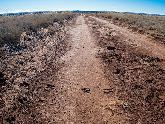 3rd image of Arntz Road