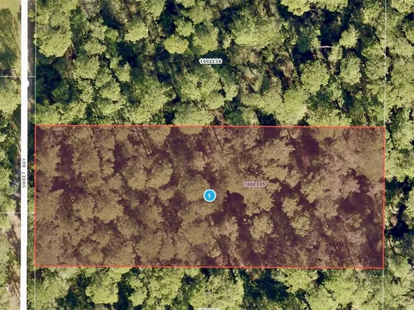 Sweet Bay S, Deland, FL 32720