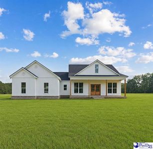 1657 Turnpike Rd, Darlington, SC, 29532