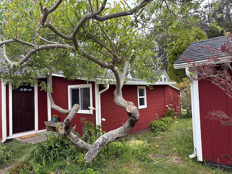 13500 Point Cabrillo Dr #1 — Photo 6