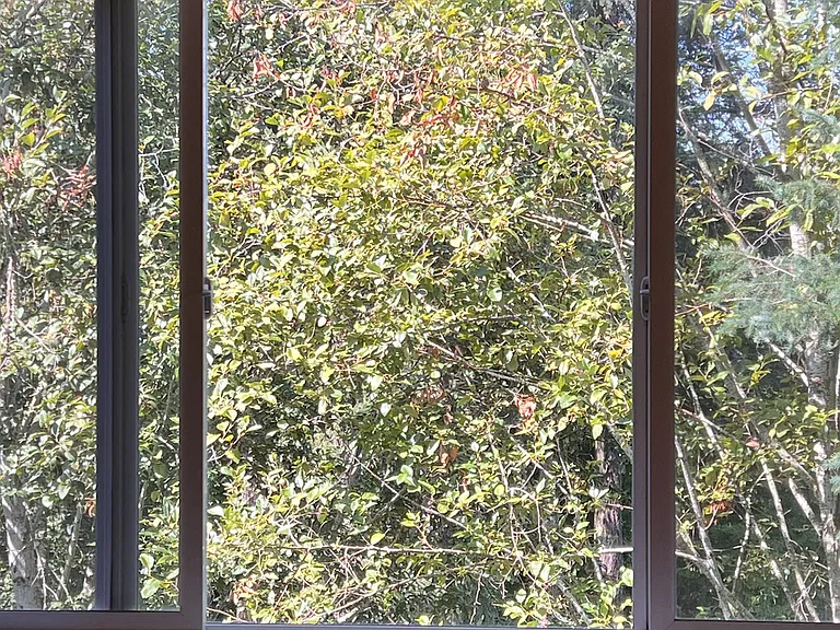 View from master bedroom.