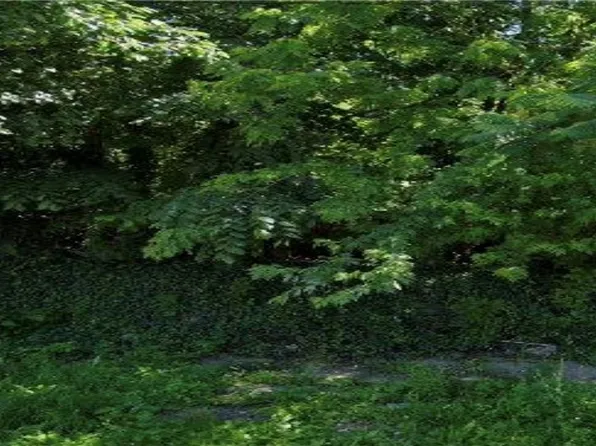 9208 Booth Ave, Cleveland, OH 44105