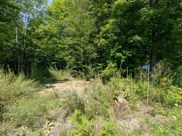 1531 Myers Cave Rd, North Frontenac, ON K0H 1B0
