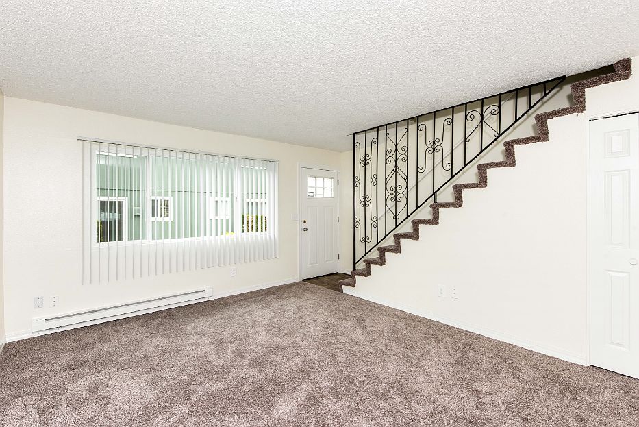 Plush carpeting